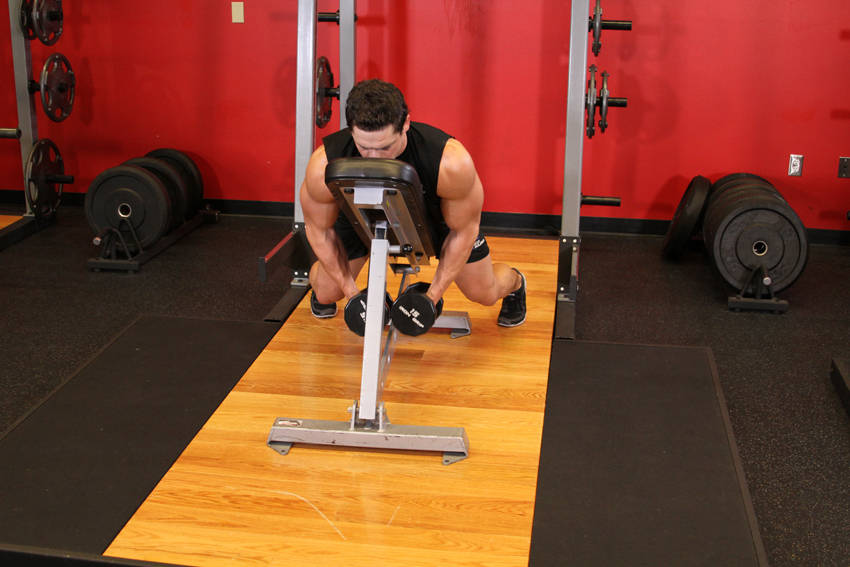 Dumbbell Lying Rear Lateral Raise
