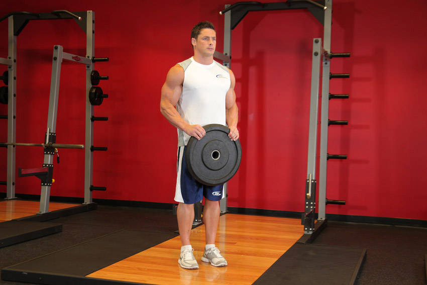 Reverse Plate Curls
