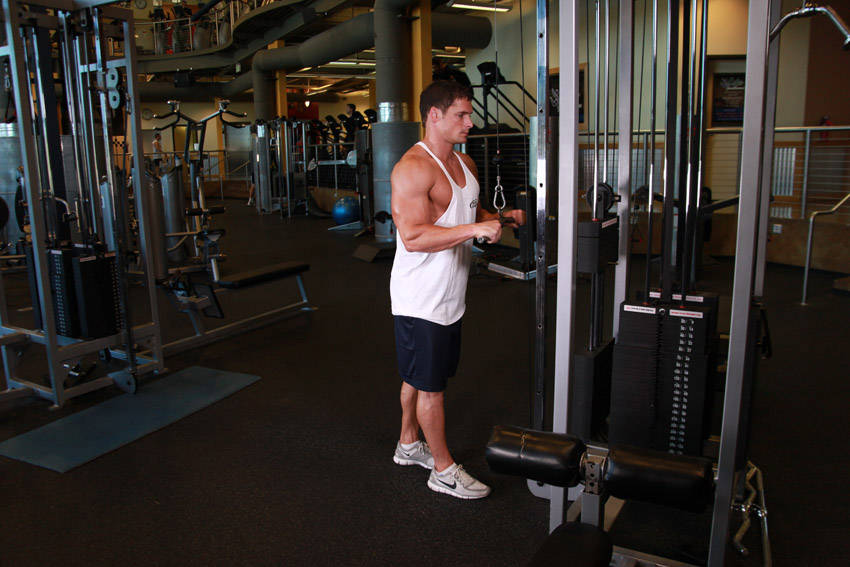 Triceps Pushdown